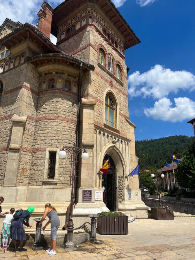 Cazare David Si Familia . Piatra Neamt Exterior photo